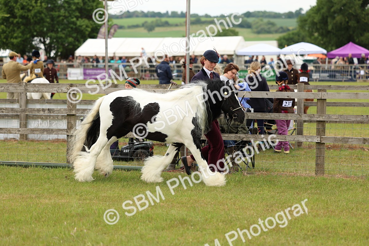 SBM_06272 - Class 39-41 TGCA In Hand and Ridden