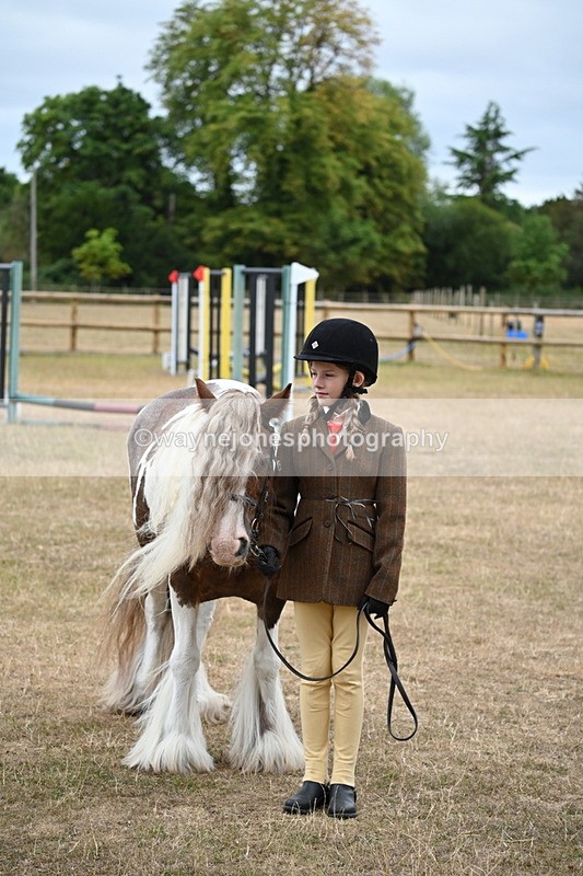 WJ6_8240 - Class 10 Coloured in Hand
