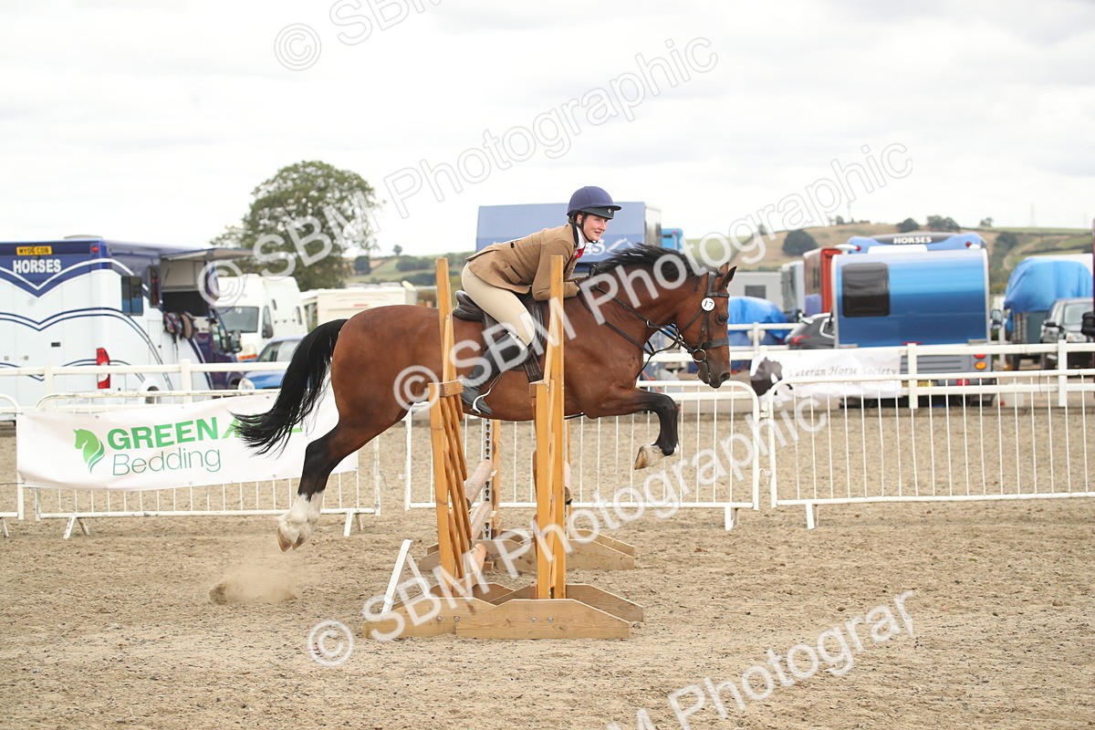 SBM_17642 - Class 508a - Working Veteran 70cm (15-19)