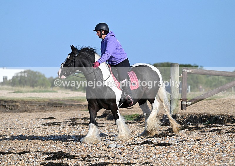 WJ7_2707 - Kellie & Churchill ... do Hayling Island 25-08-24