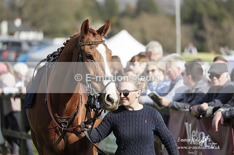 PtP 080423 687 - Dingley Races The Woodland Pytchley Hunt PtP 08/04/23