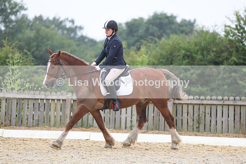 3E7A8002 - Class 1: Intro 3 2024 section A