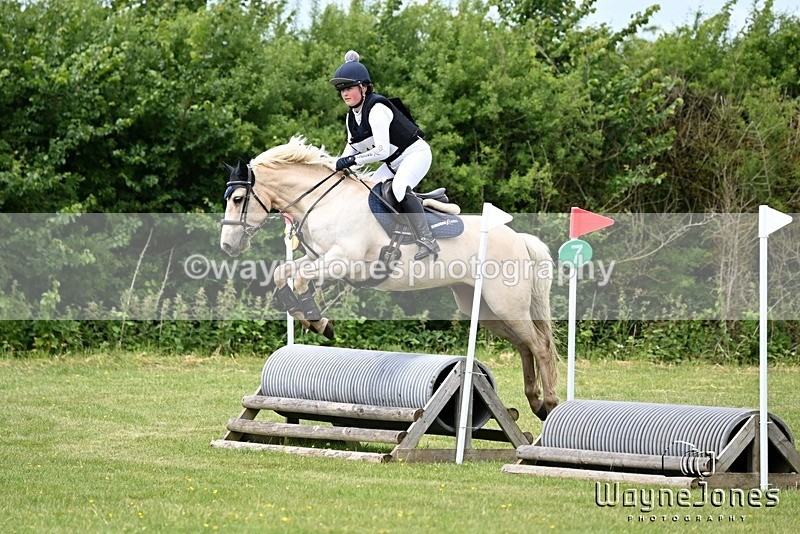 WJ6_4043 - Edited examples