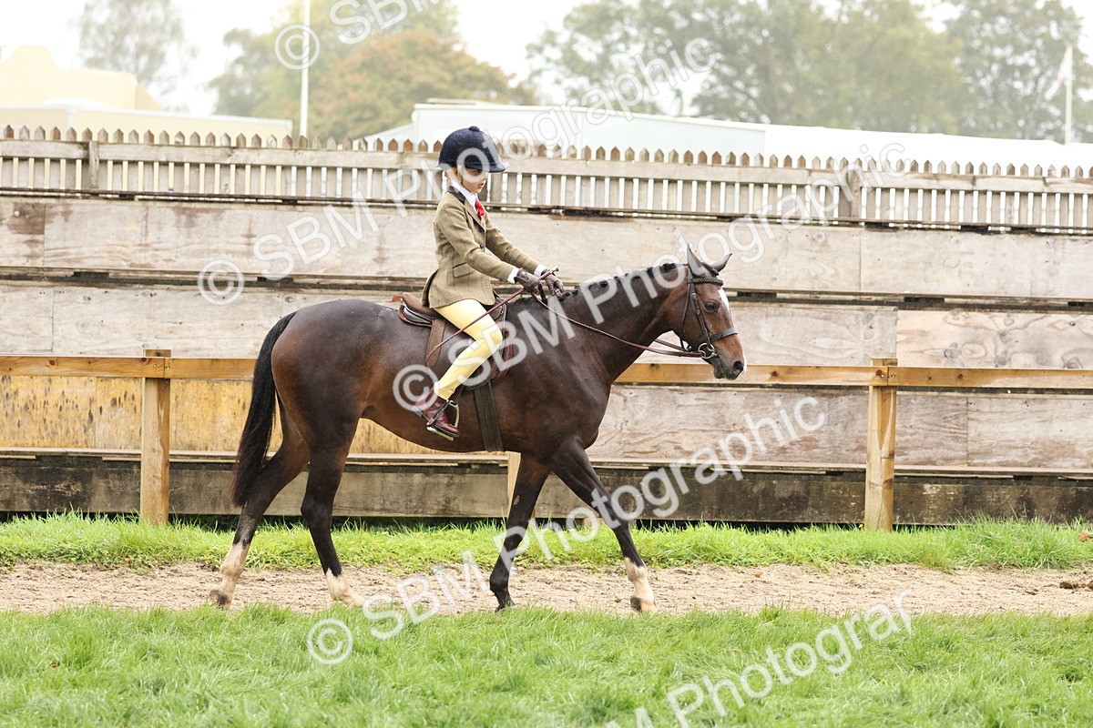 SBM_72967 - S63 Show Pony & Show Hunter Pony Ridden