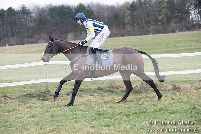 PtP 230119 281 - Royal Artillery Point-to-Point  - Larkhill  - 26/01/19