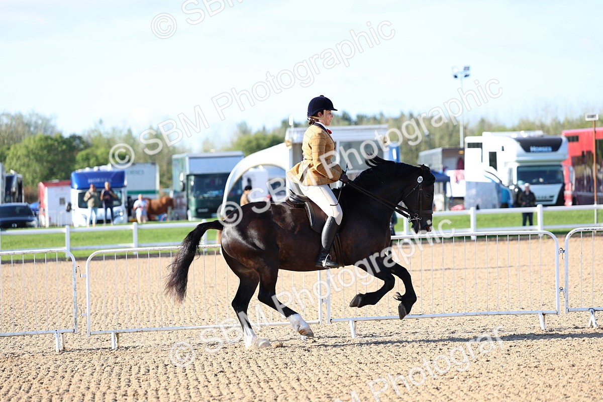 SBM_08769 - Class 302 - Ridden M&M - Large Breeds