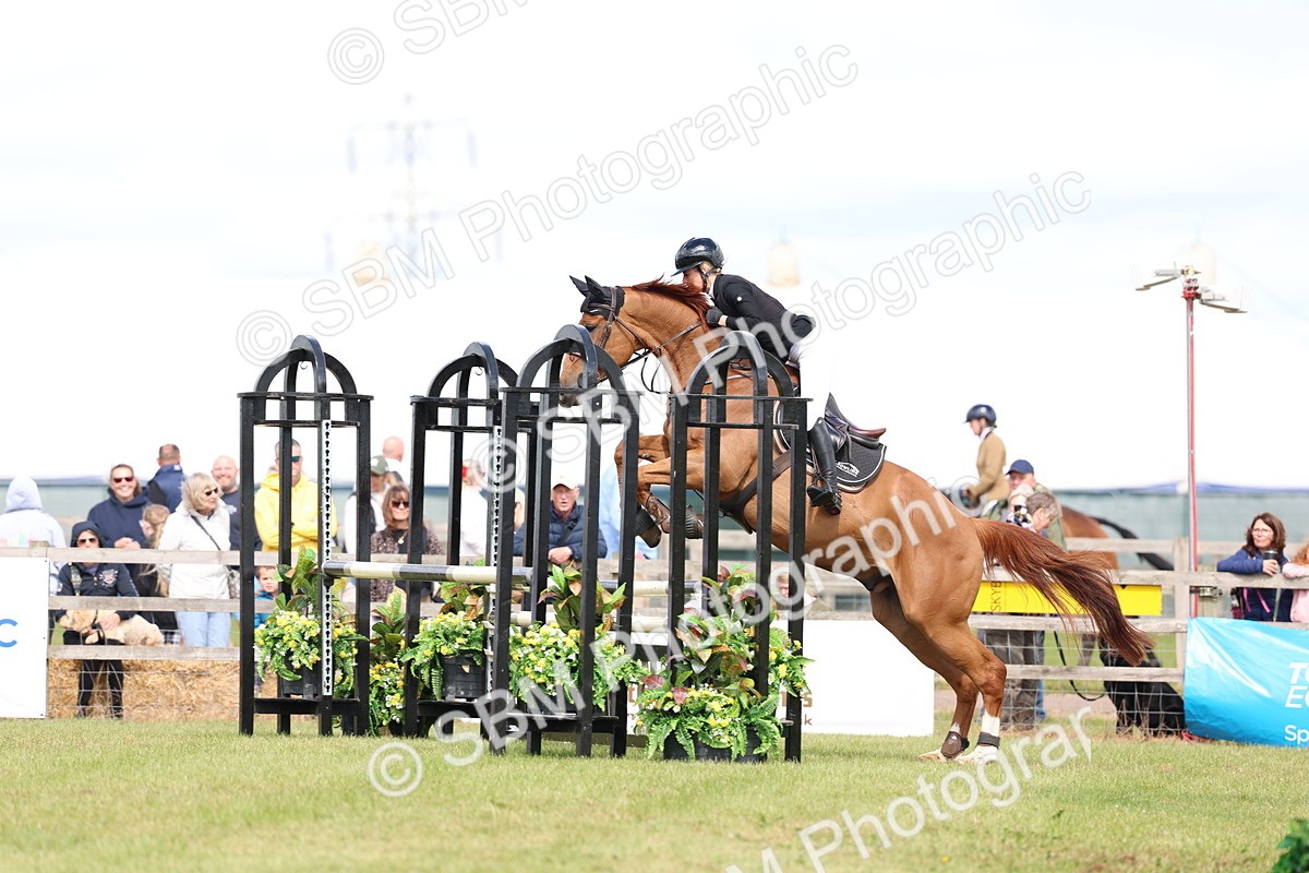 SBM_13579 - Class 206 - Senior Newcomers - 1.10m Open