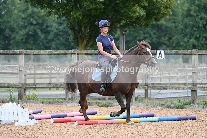 WJ7_7656 - Poles 10:00am