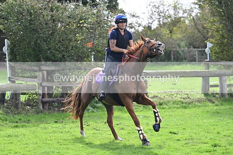 WJ7_9741 - Time 13:13 to 13:55