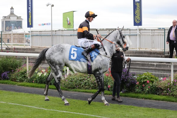 yr24092021r8-3 - Race 8 5.25pm William Hill Build Your Own Odds Apprentice Stakes