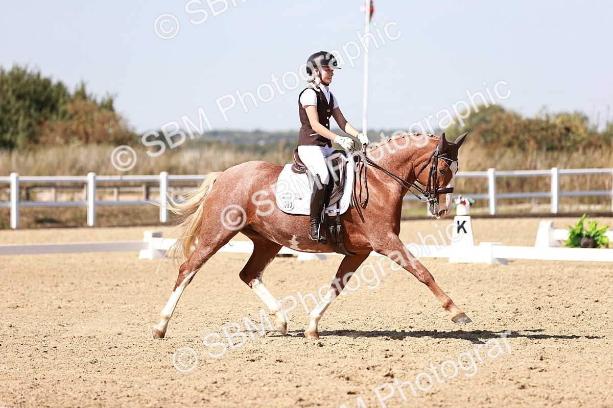 SBM_005925 - Class 15 - Advanced Medium 5 14.03-14.35