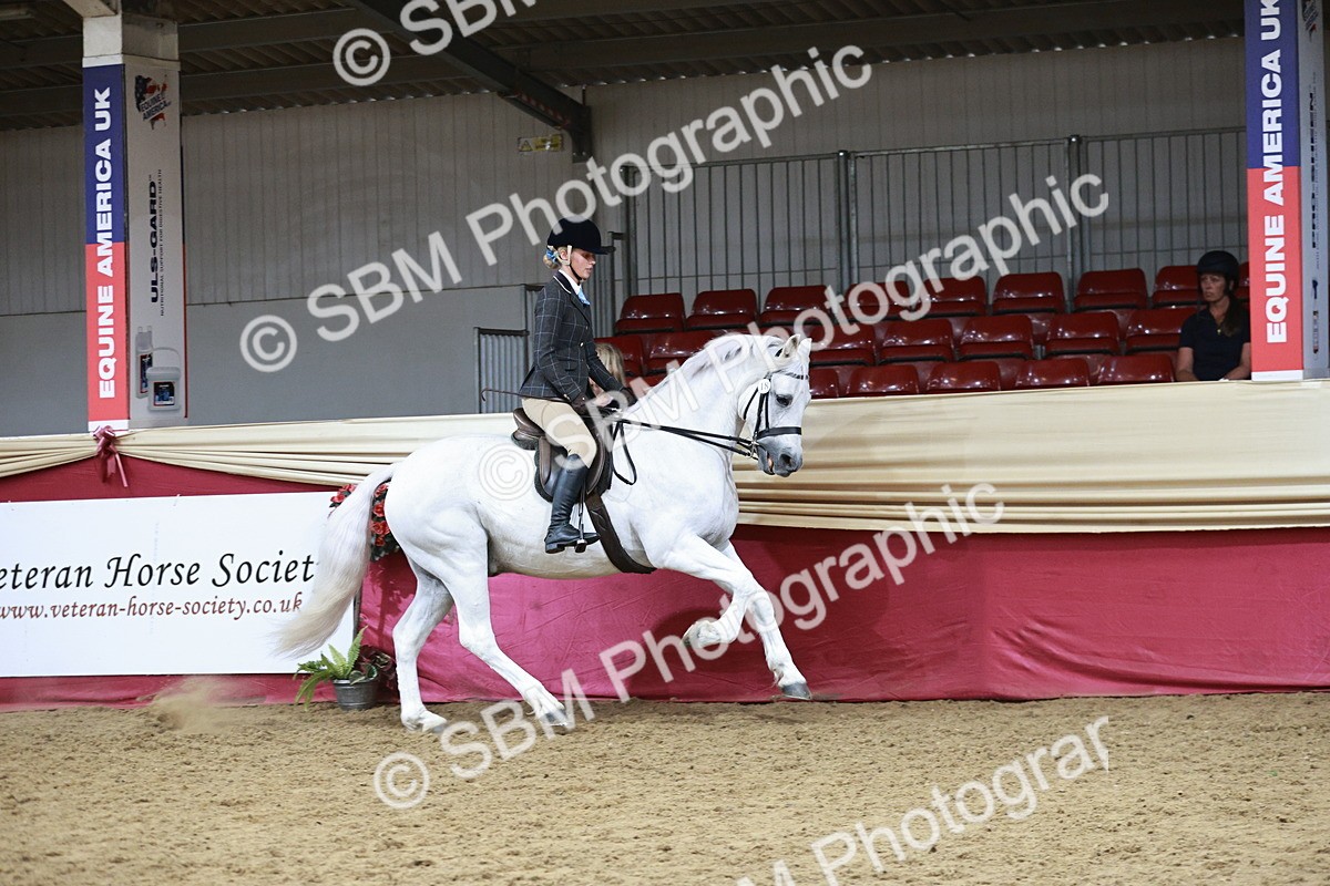 SBM_08770 - Class 12R - Regional Ridden Pre-Vet