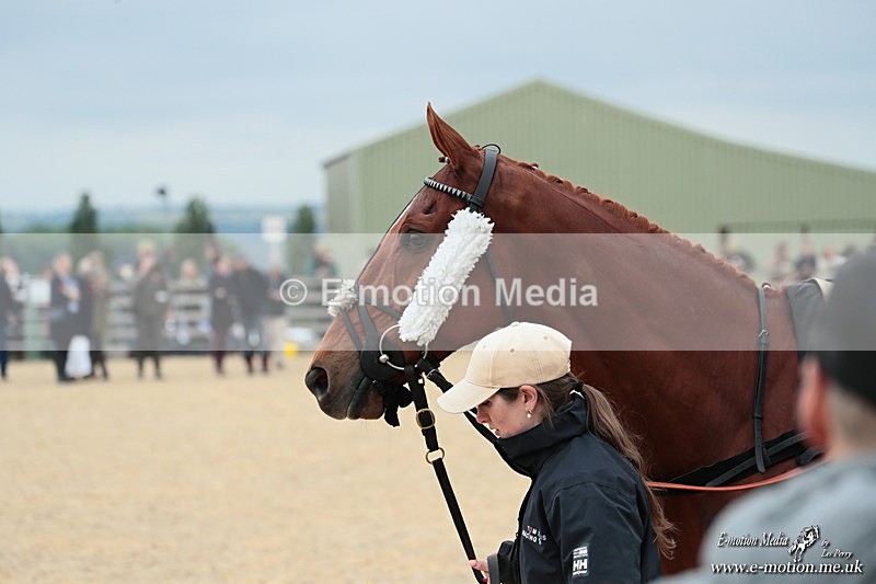 PtP 040526 08 - Mollington Point-to-Point 04/05/26