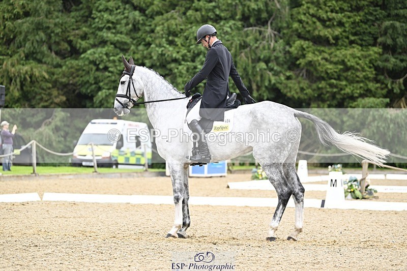 000101-215538-04489 - 404-DEERPAIRC_REVELRY-Max_Warburton