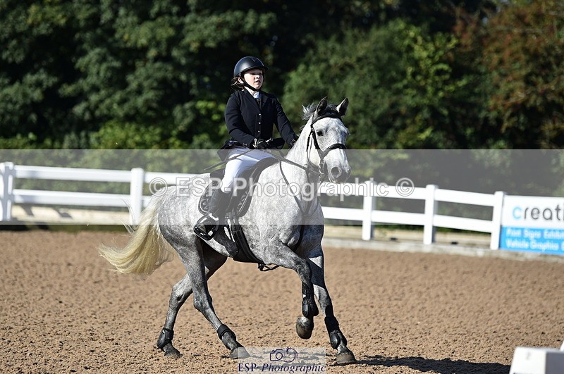 230903A-092430-03505 - Cls 17 Pony Intro 75cm