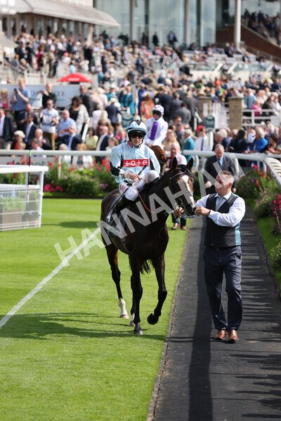 yr18082021r4-33 - Race 4 3.35pm Juddmonte International Stakes (British Champion Series race)