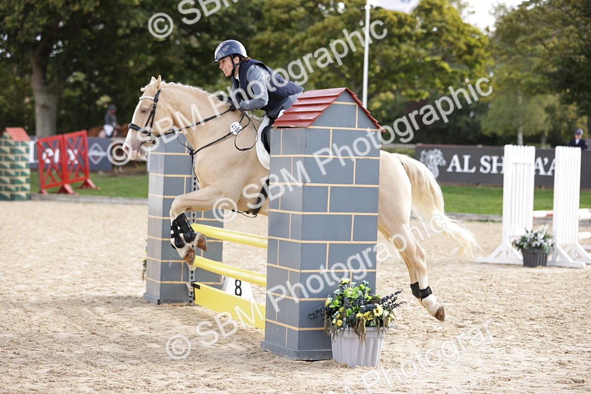 SBM_16556 - J33 - Senior 75cm Championship
