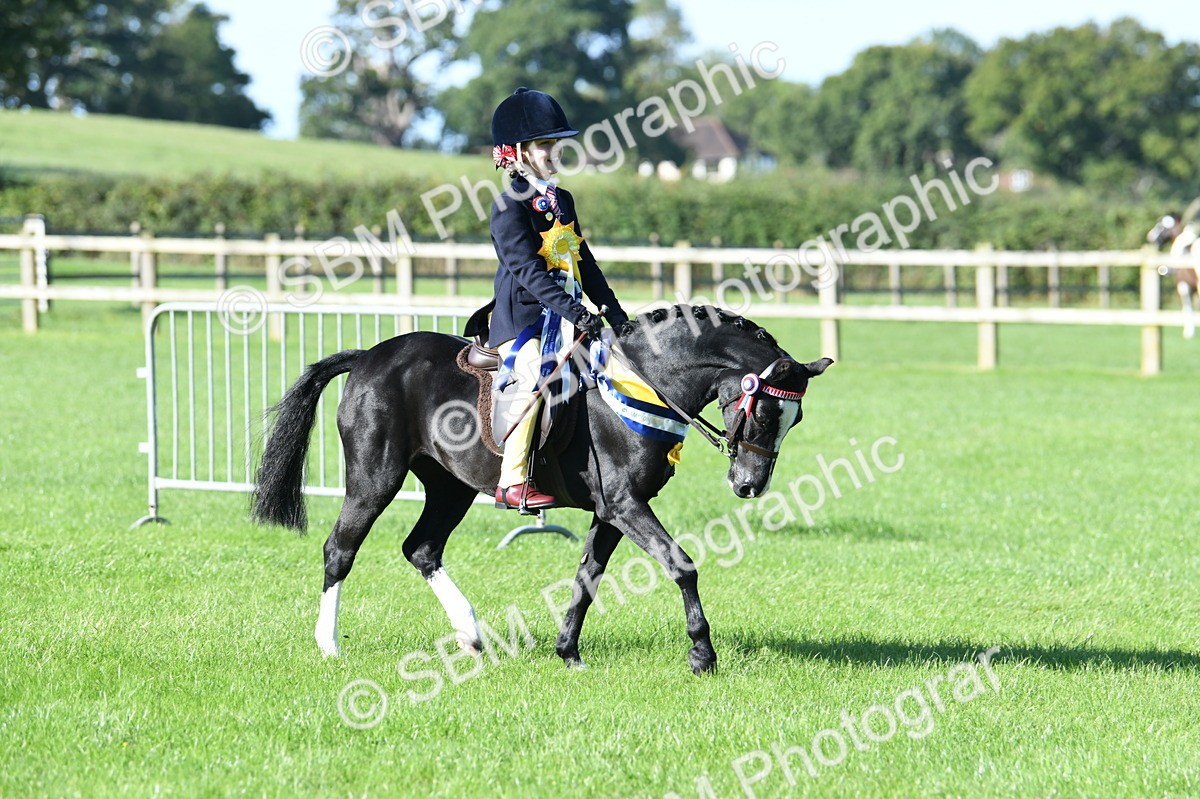 SBM_35620 - Top Turnout Supreme Championship