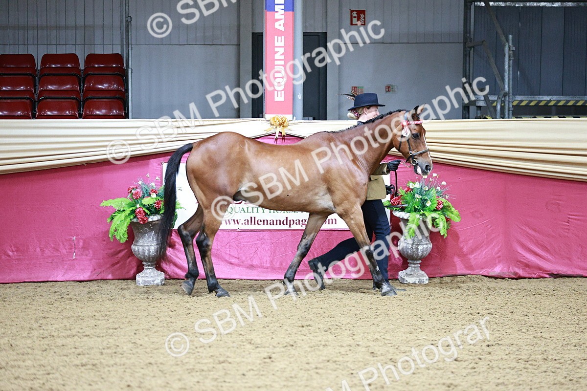 SBM_00128 - Class 1A - Area IH Diamond