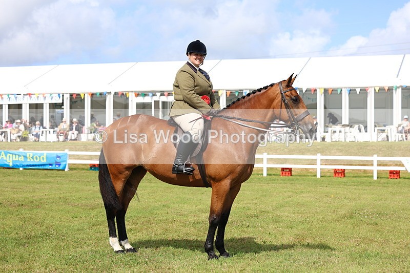 3E7A9581 - Class 4: Rising Star M/H Hunter