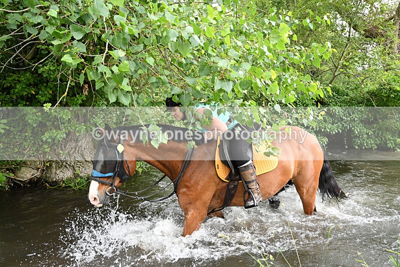 WJ7_2484 - Camera 2 Water Crossing