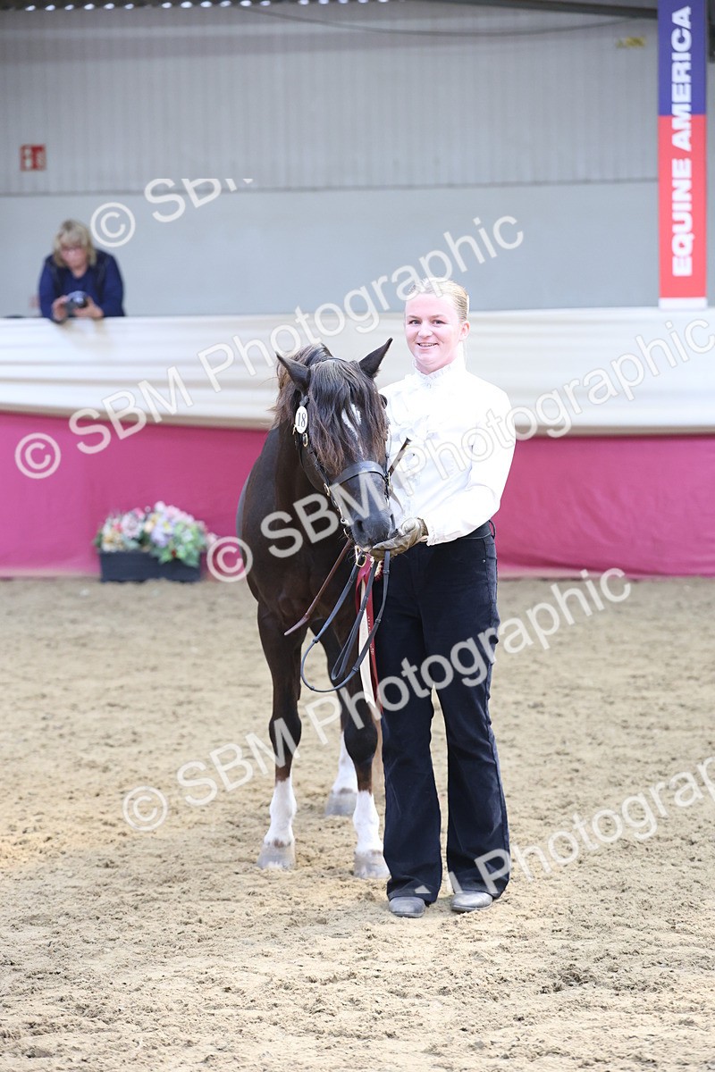 SBM_23407 - Class 903 - Supreme Final - IH Pre Vet