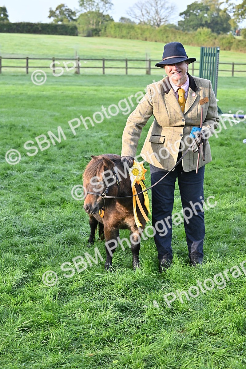 SBM_54635 - S44 - Youngstock In Hand