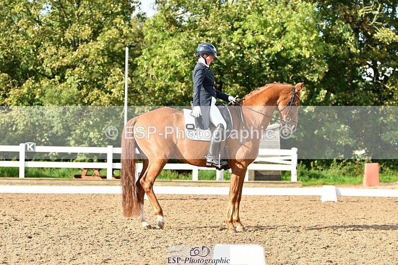 230912A-172302-01991 - Cls 23 FEI Grand Prix