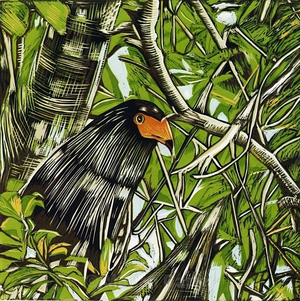 Bateleur Eagle, Masai Mara, Kenya - Reduction Linocuts