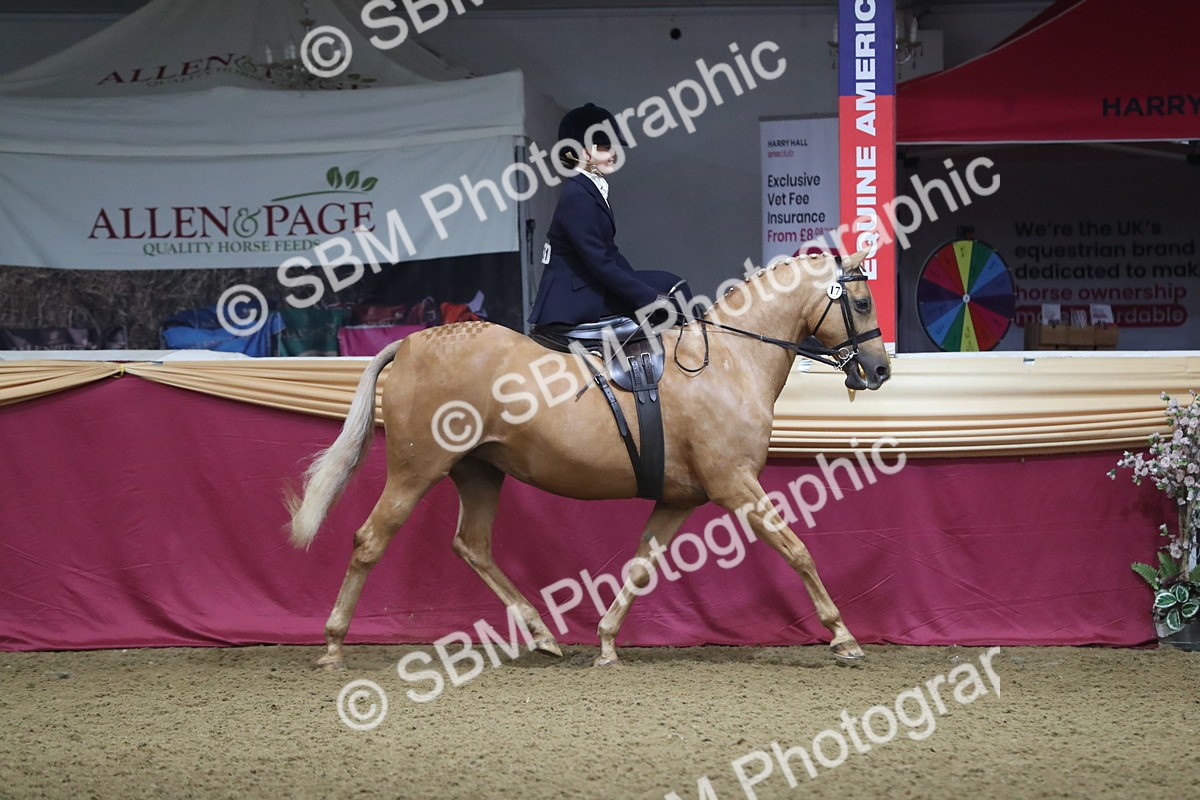 SBM_09342 - Class 101 Equitation (best rider), Junior
