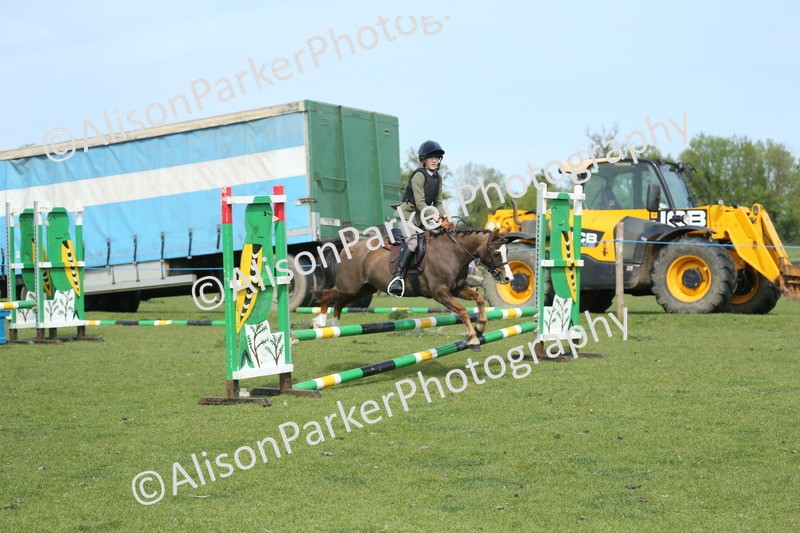 20260426-1702 - Class 14 - Novice 60cm
