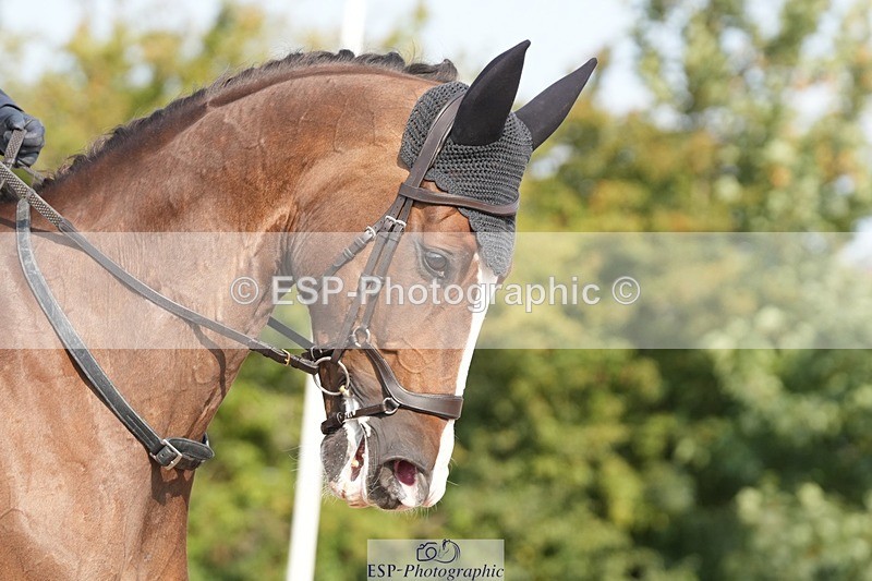 250817-095629-07939 - 097-Susie.CullenSir.Safir.Caledonia