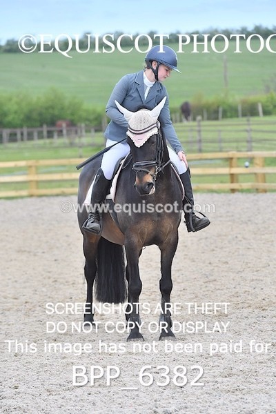 BPP_6382 - CLASS 33 MON Scottish Spring Final 85cm