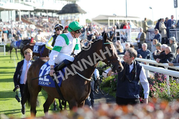 yr08102022r4-8 - Race 4 3.15pm The Coral Sprint Trophy