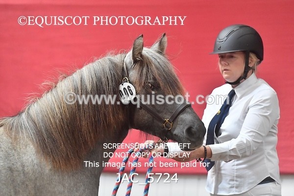 JAC_5724 - 6 Glenmuir Niamh