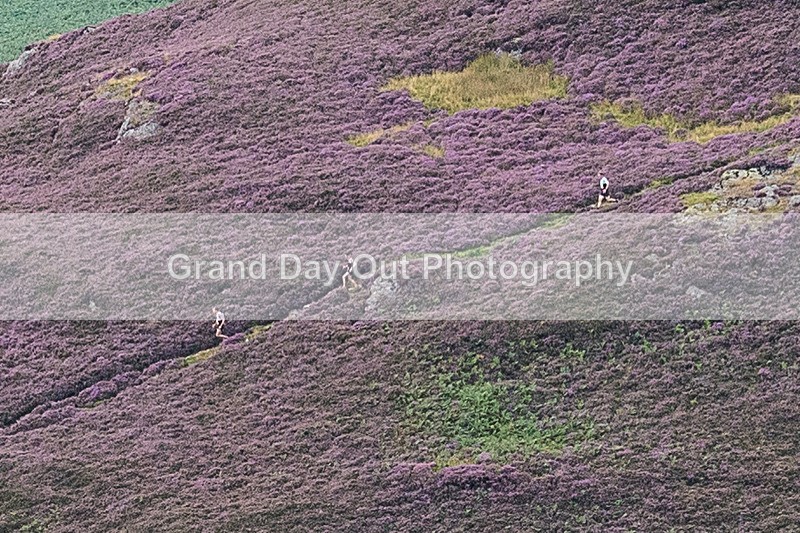 Barrow Fell-1 - Barrow Fell Race Monday 29yh August 2022