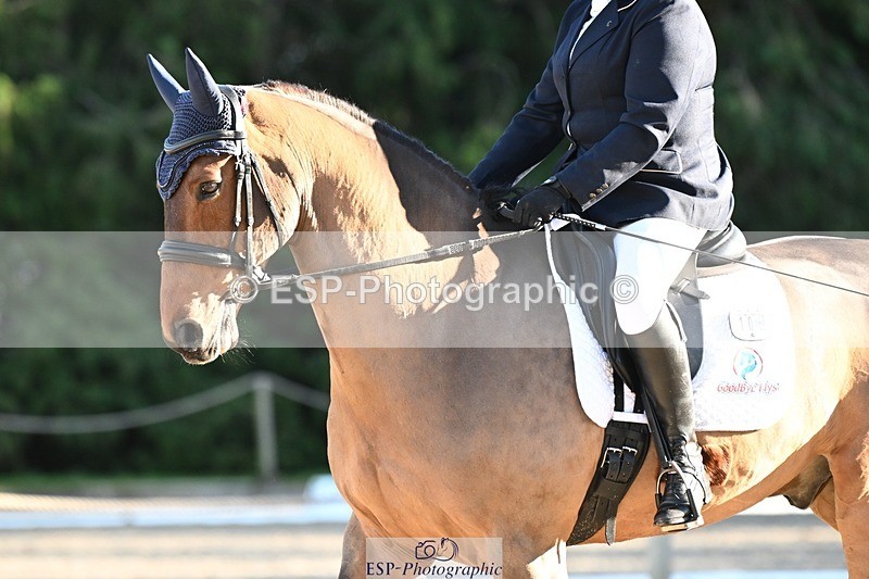 231110-132923-00954 - Cls 4 Novice 39Q