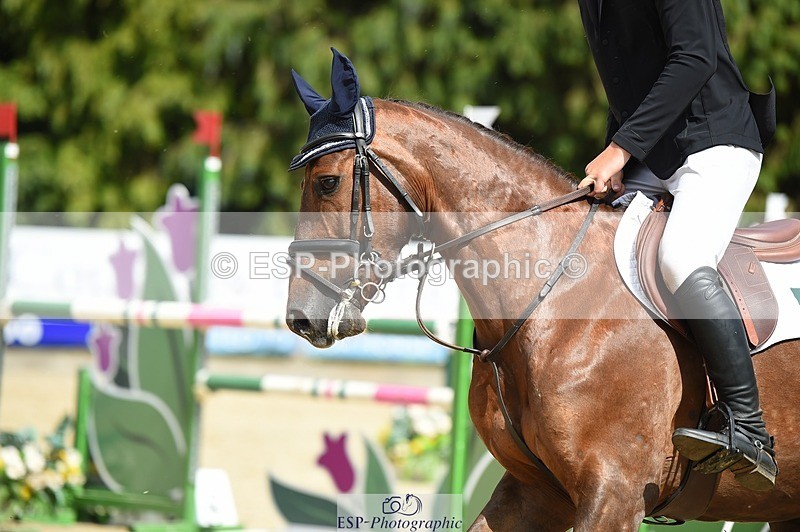 230528-150018-18842 - 153-GAMEBIRD-Max_Warburton-SUNTrotUp+SJ