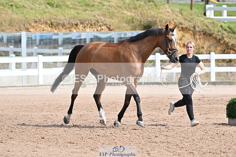 240717A-160210-03270 - Trot Up 4pm to 5pm