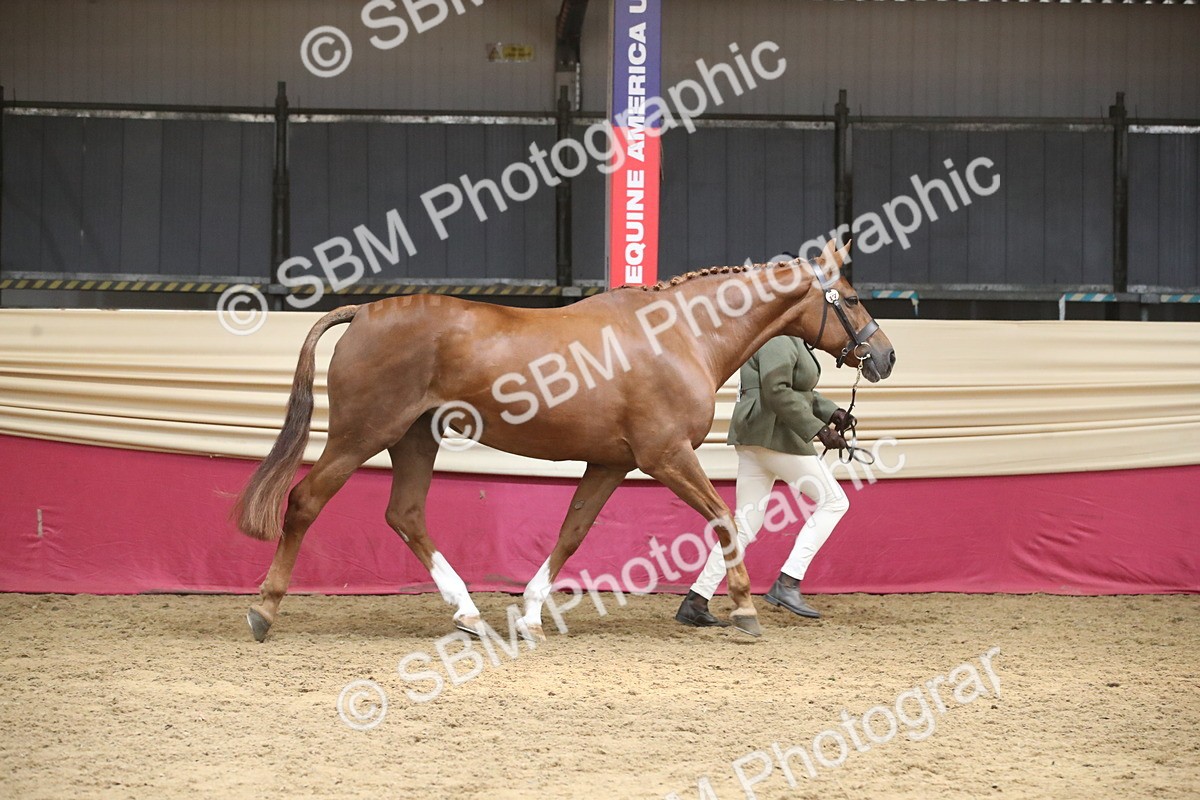 SBM_05493 - Class 9R - Regional IH Pre-Vet