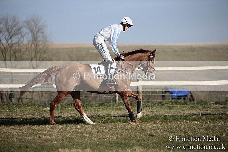 PtP 240218 311 - Vine & Craven Hunt Point-to-Point Barbury racecourse 24/02/18