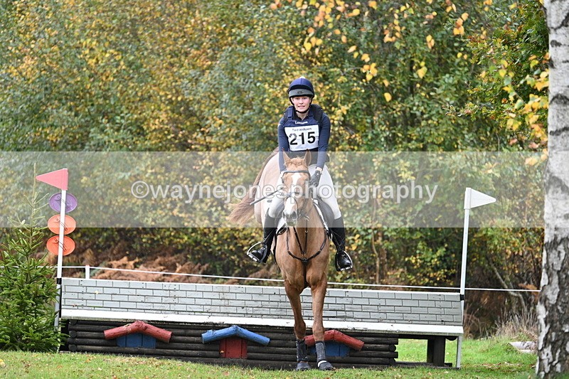 WJ7_2955 - 90cm Cam 2 Water Time 13:29 to 13:47