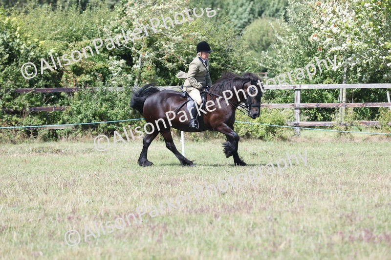 20250831-2962 - Class 19 - Mountain and Moorland