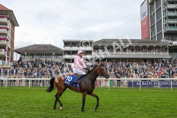 240823-Race 4-Warm Heart-5218 - Race 4 3.35pm Pertemps Network Yorkshire Oaks