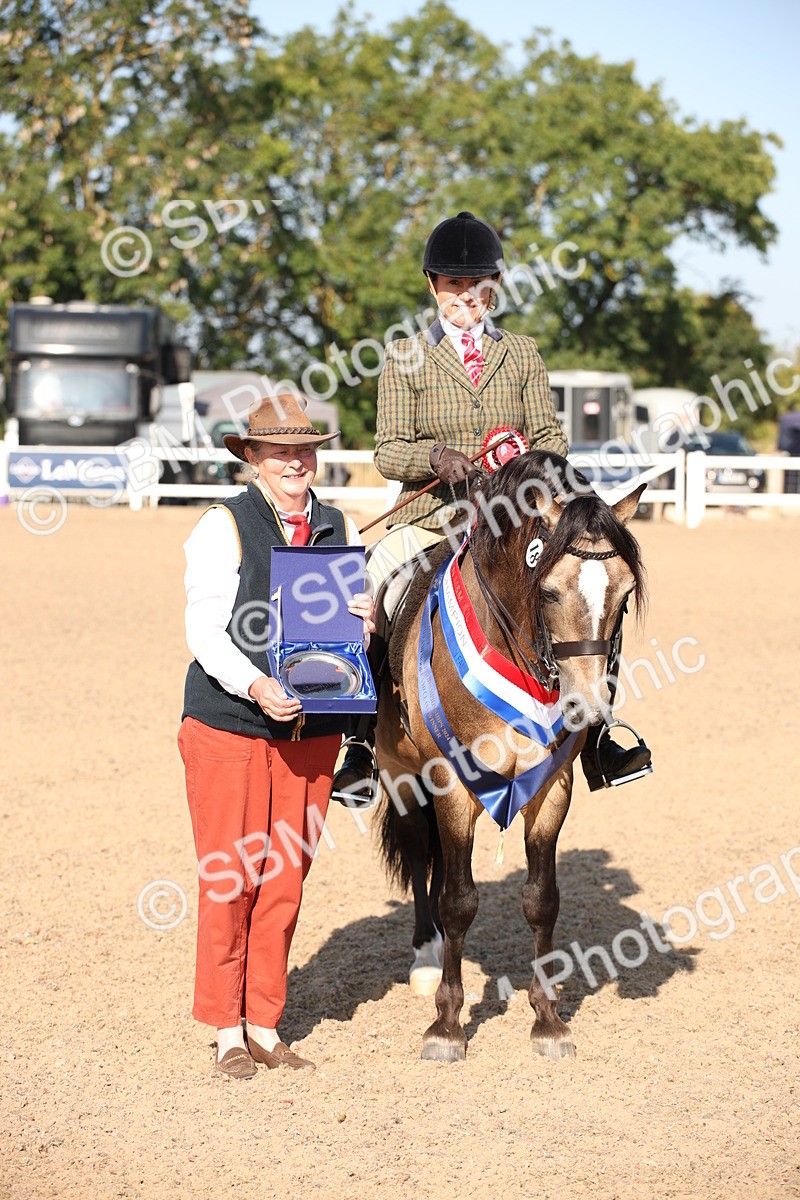 SBM_00769 - Class 14 Ridden M&M Wildcard