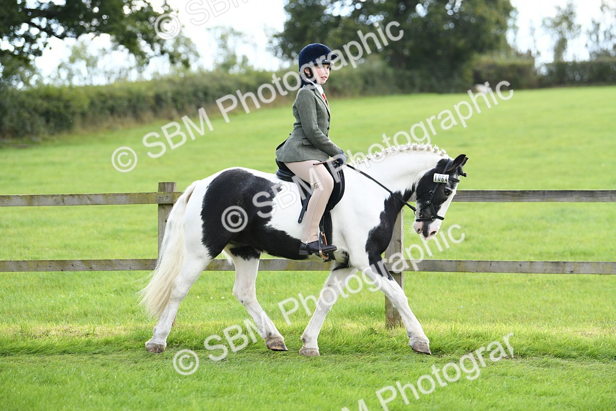 SBM_46733 - S12 - Family Horse & Pony