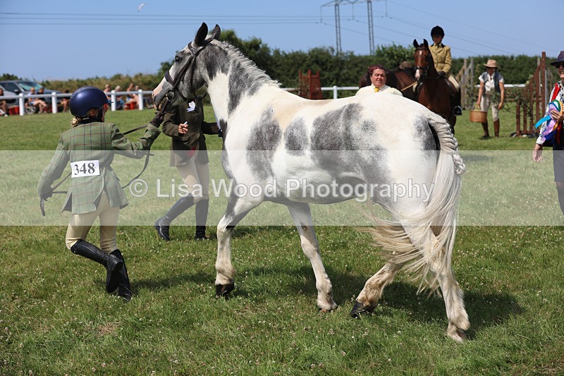 JPP_3450 - Class 22: Working Hunter 70cm