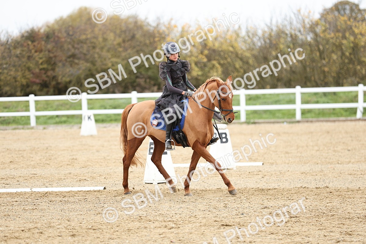 SBM_003878 - Class 9-12 - Novice 2 Elementary 3