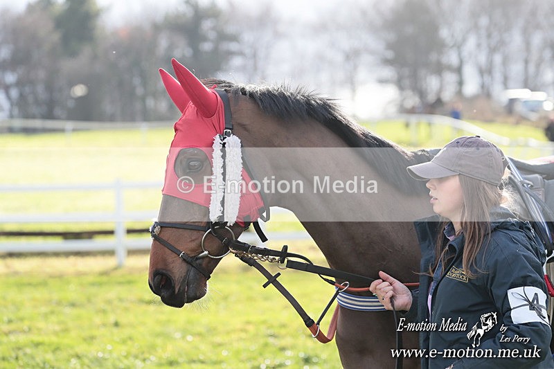 PtP 011224 238 - Hursley Hambledon Point-to-Point Larkhill 01/12/24