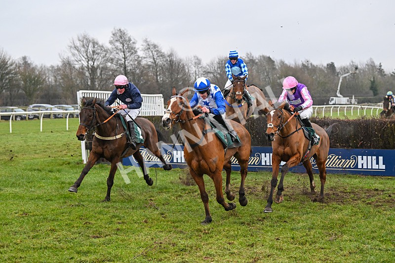 310125-Race 5-The Paddy Pie-5692 - Race 5